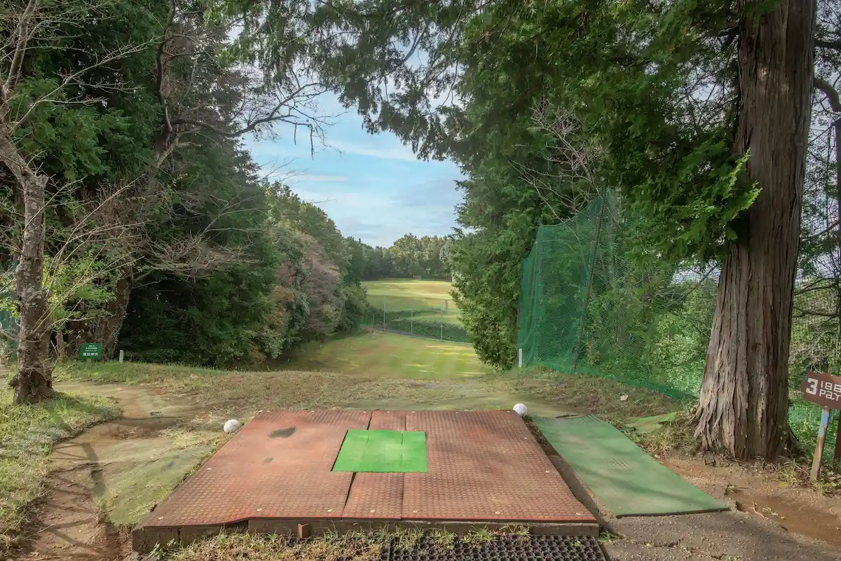 3番ホール ティー